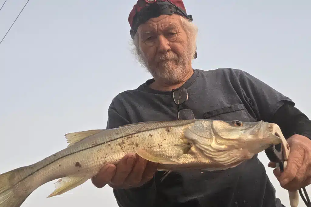 INSHORE-snook (3)