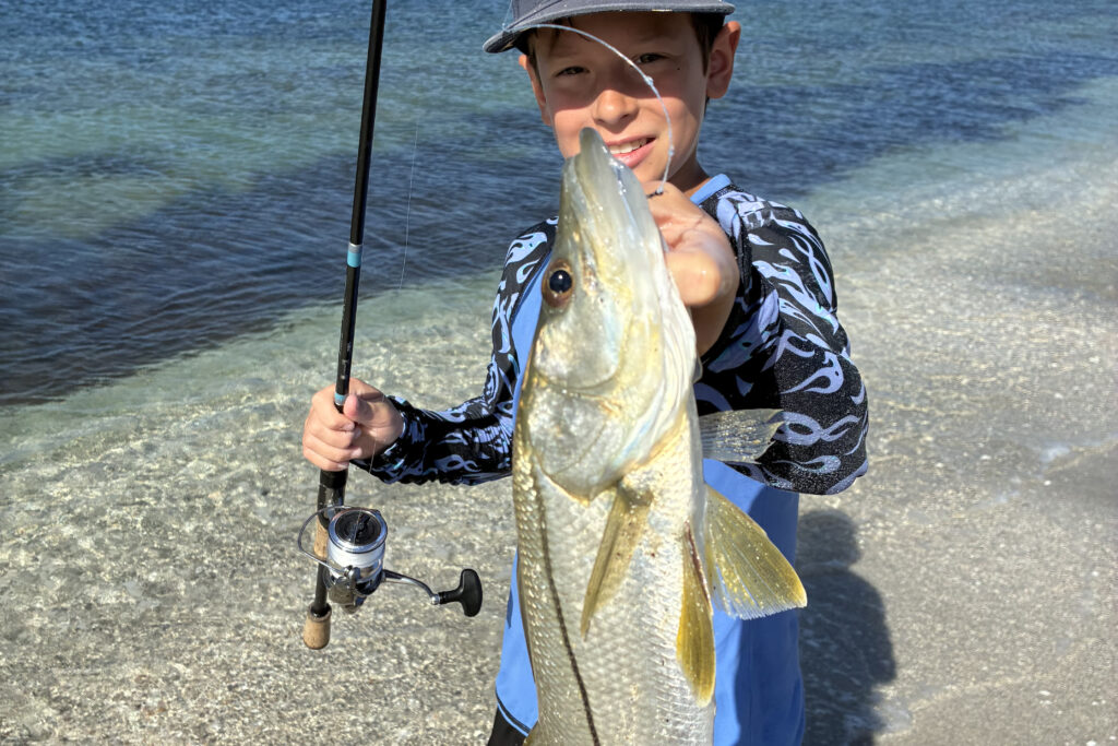 INSHORE-snook (4)