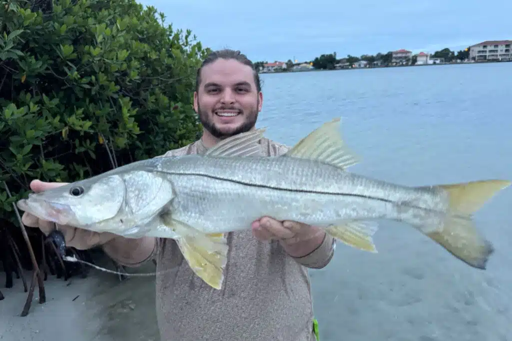 INSHORE-snook