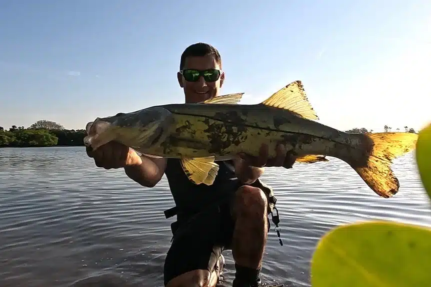 INSHORE-snook2