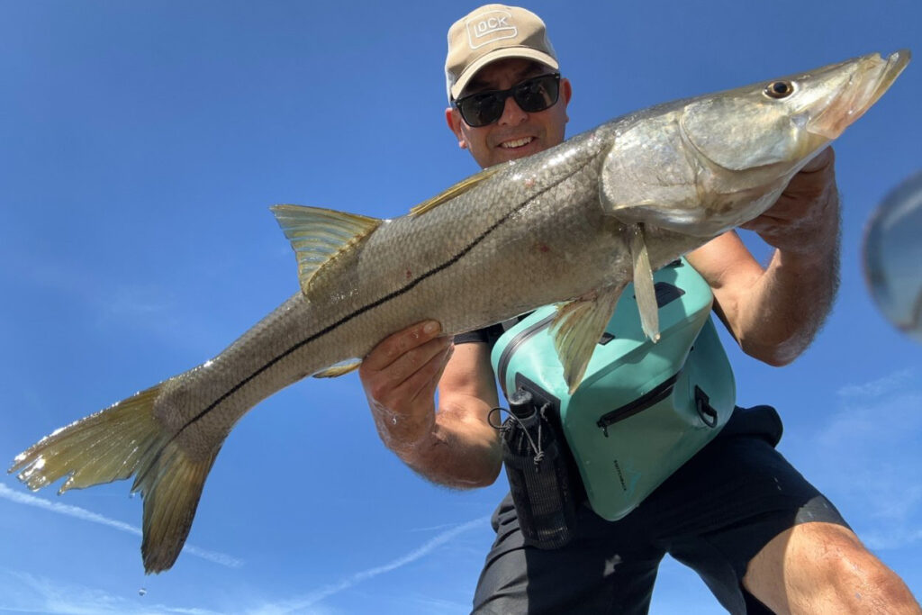 INSHORE-snook2