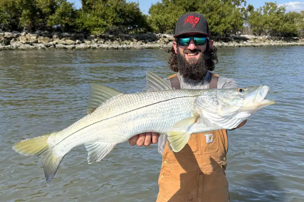 INSHORE-snook7