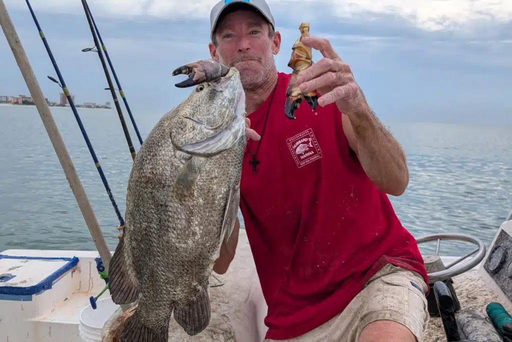 INSHORE-tripletail