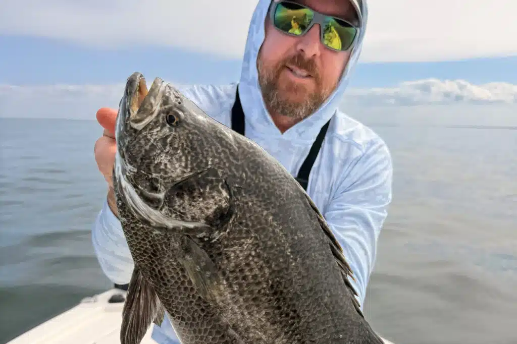 INSHORE-tripletail
