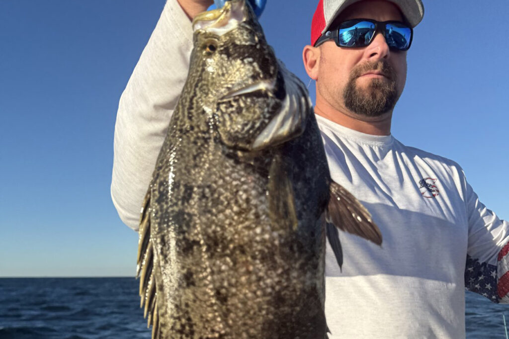 INSHORE-tripletail3