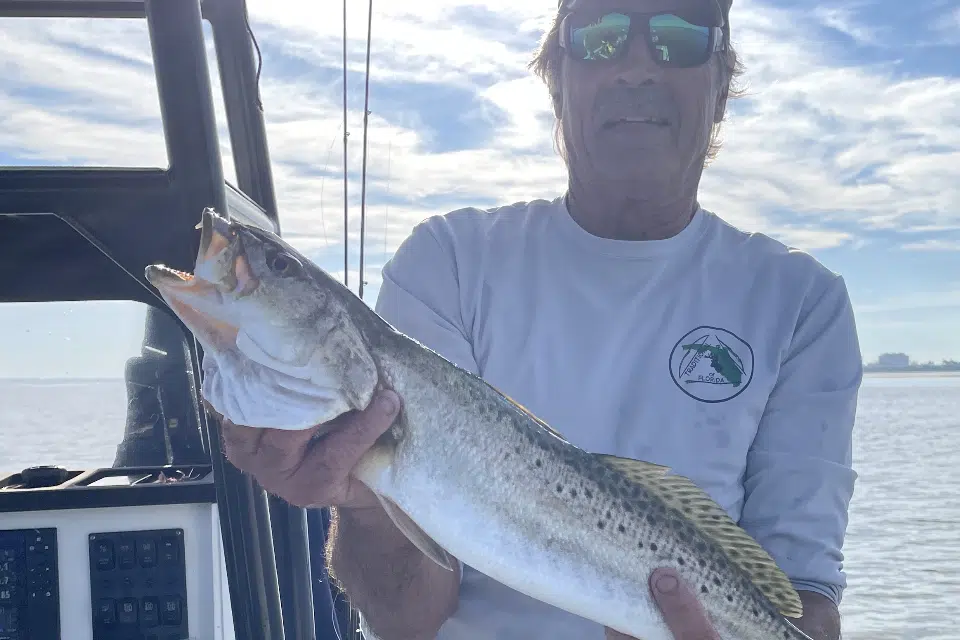 INSHORE-trout3