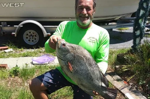 INSHROE-tripletail