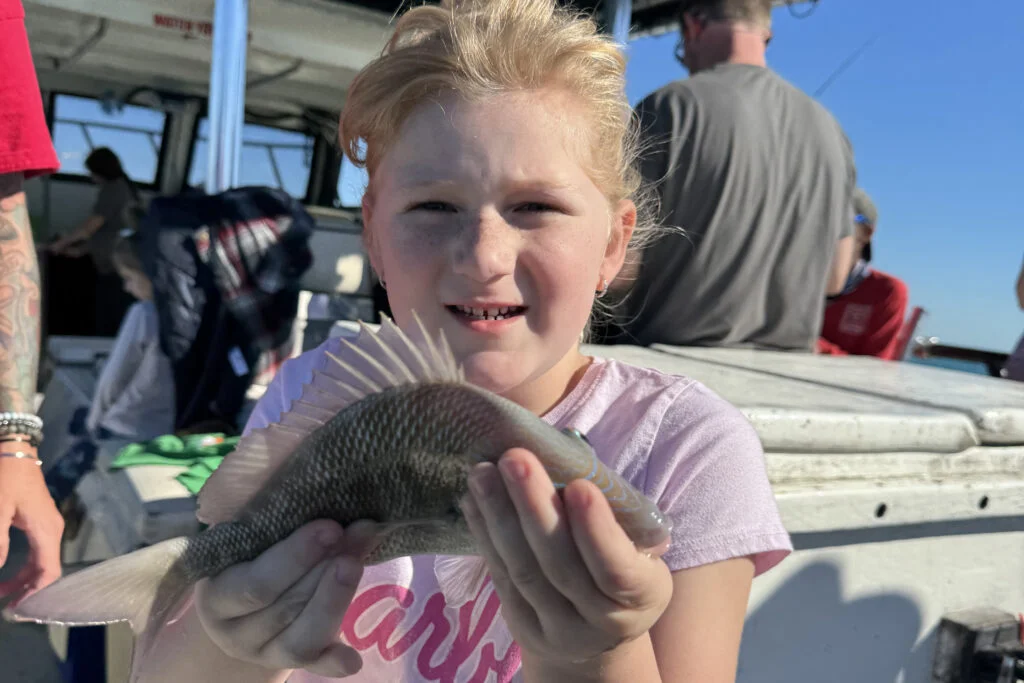 NEARSHORE-greysnapper