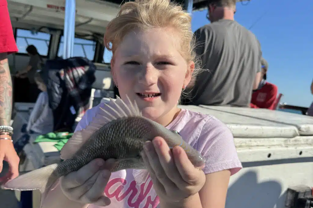 NEARSHORE-greysnapper