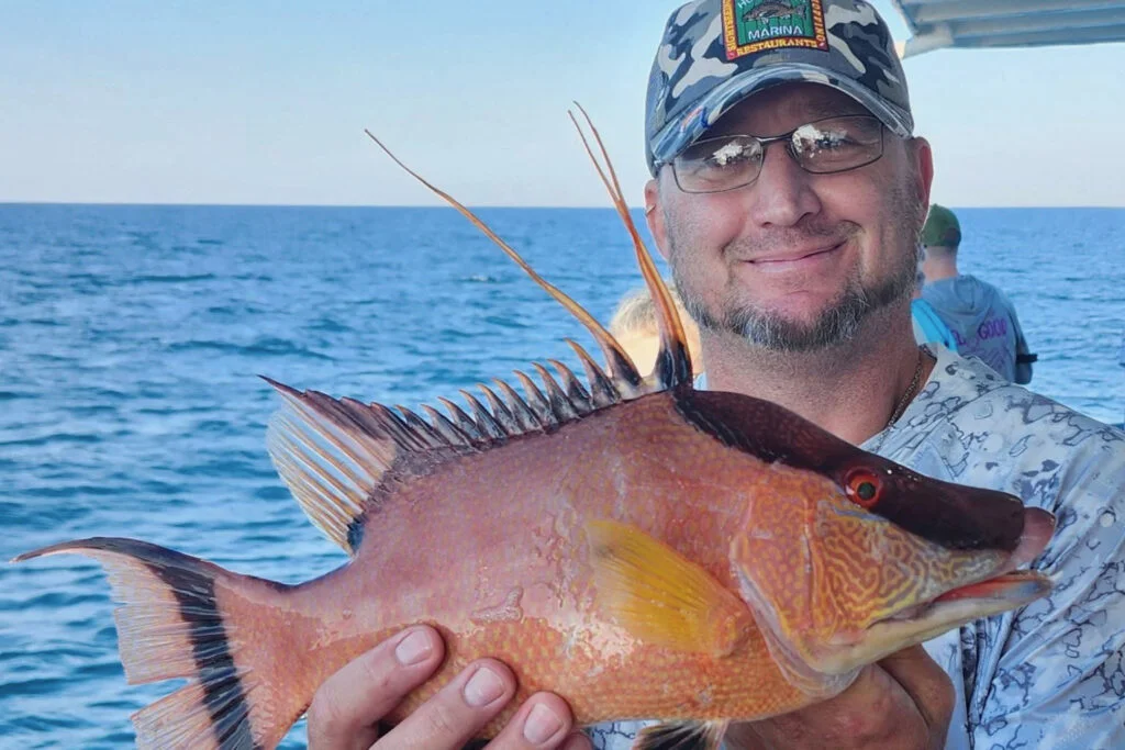 NEARSHORE-hogfish (1)