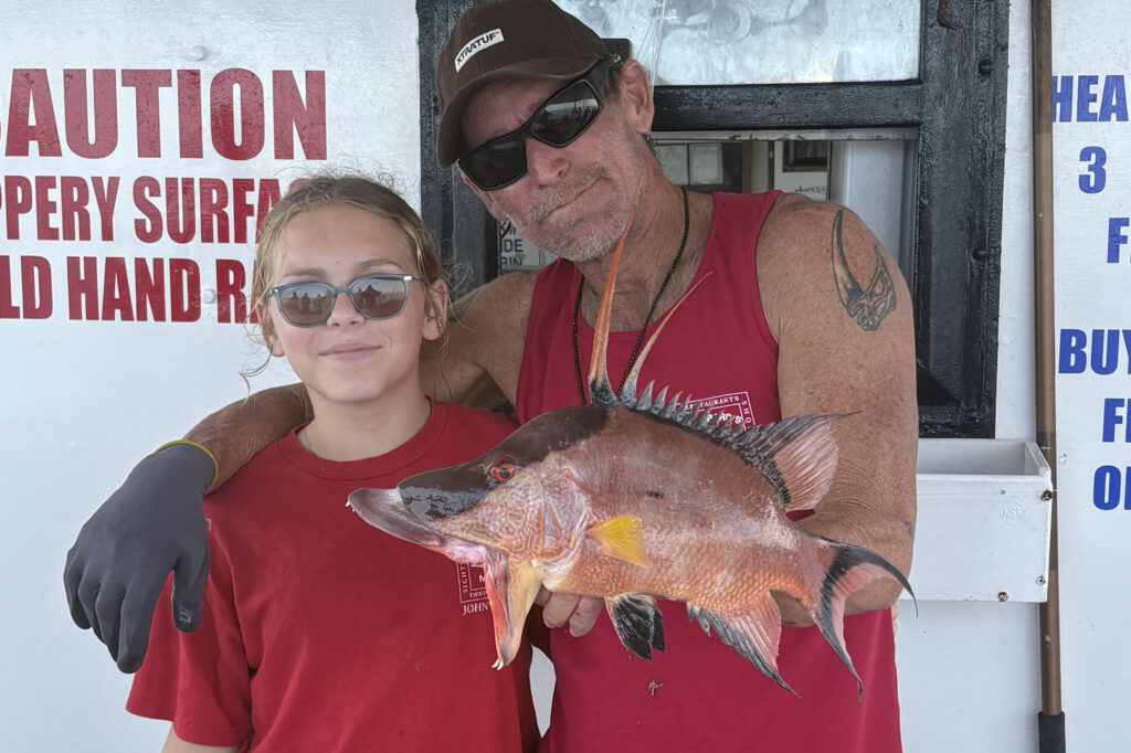 NEARSHORE-hogfish (1)