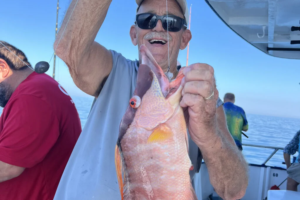 NEARSHORE-hogfish (10)