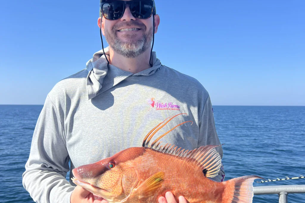 NEARSHORE-hogfish (11)