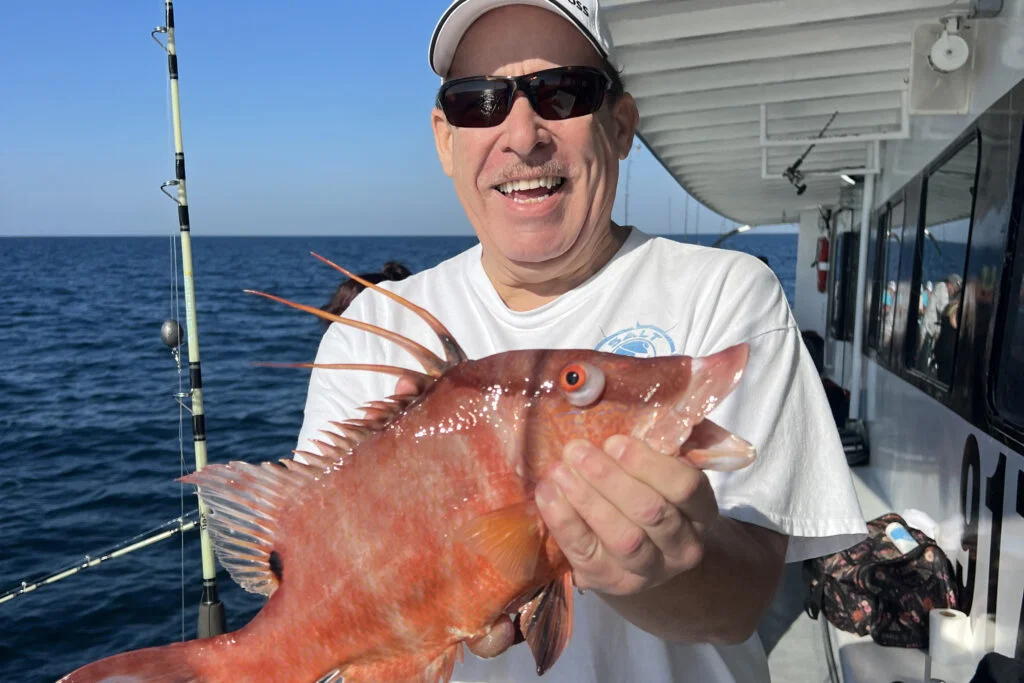 NEARSHORE-hogfish (12)
