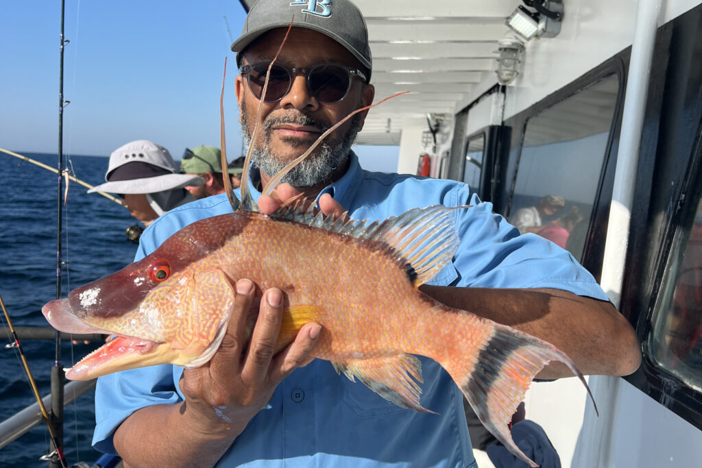 NEARSHORE-hogfish (13)