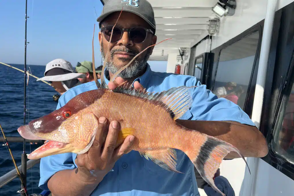 NEARSHORE-hogfish (13)