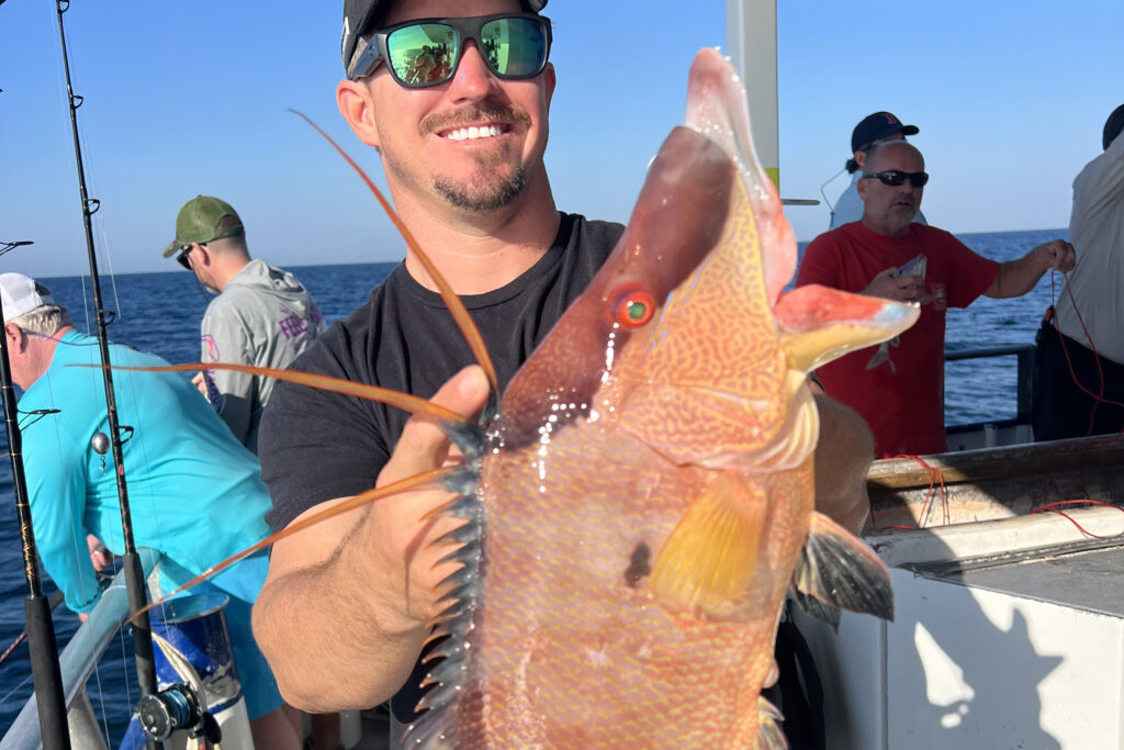 NEARSHORE-hogfish (14)