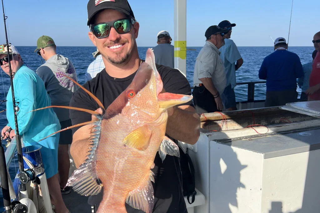 NEARSHORE-hogfish (15)