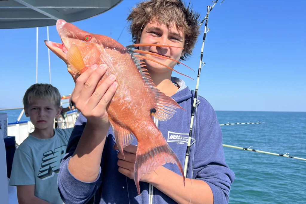 NEARSHORE-hogfish (19)