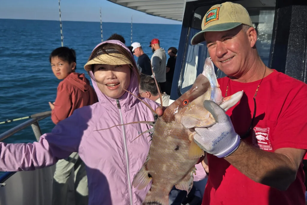 NEARSHORE-hogfish (2)