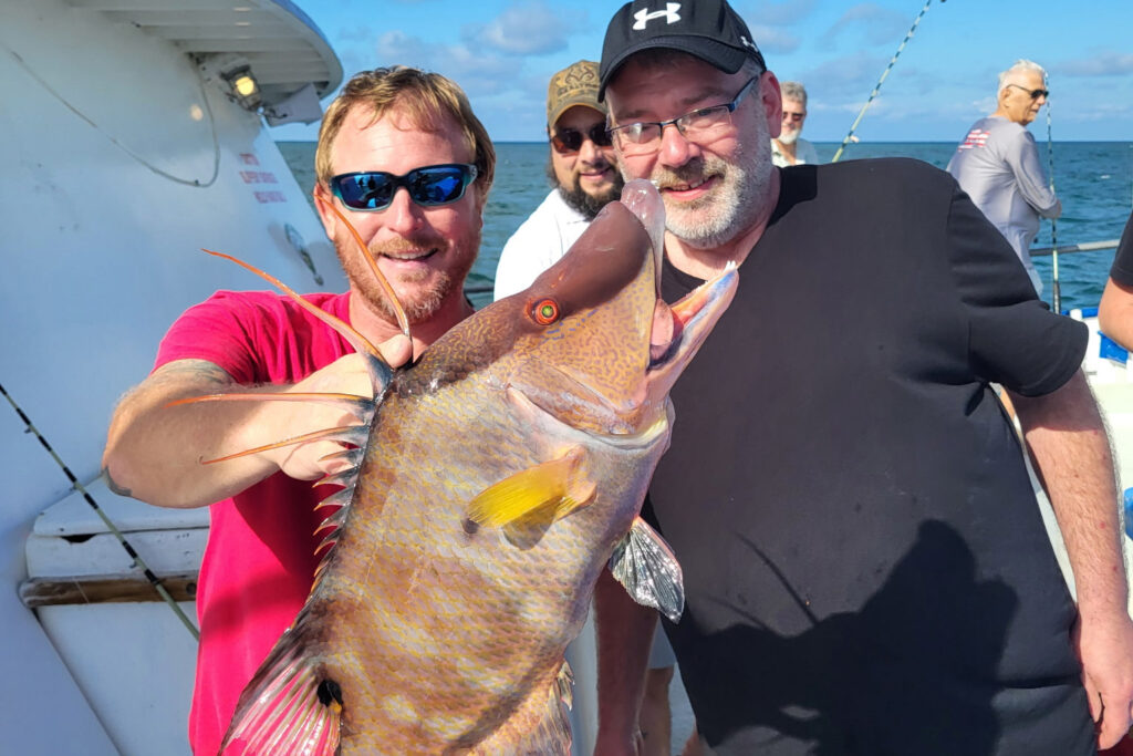 NEARSHORE-hogfish (2)