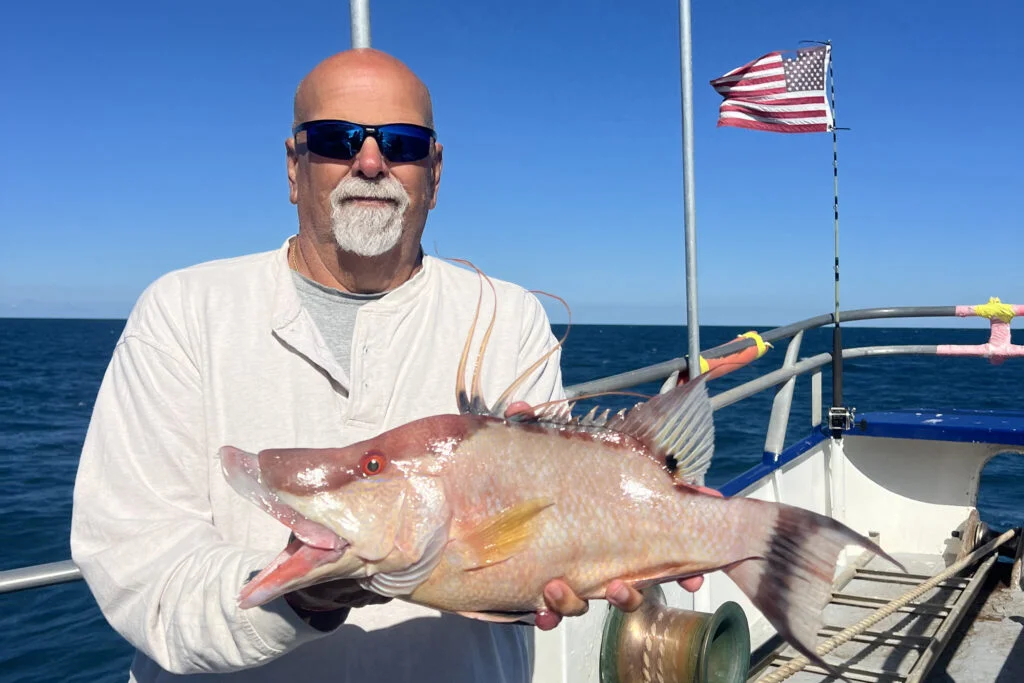 NEARSHORE-hogfish (2)