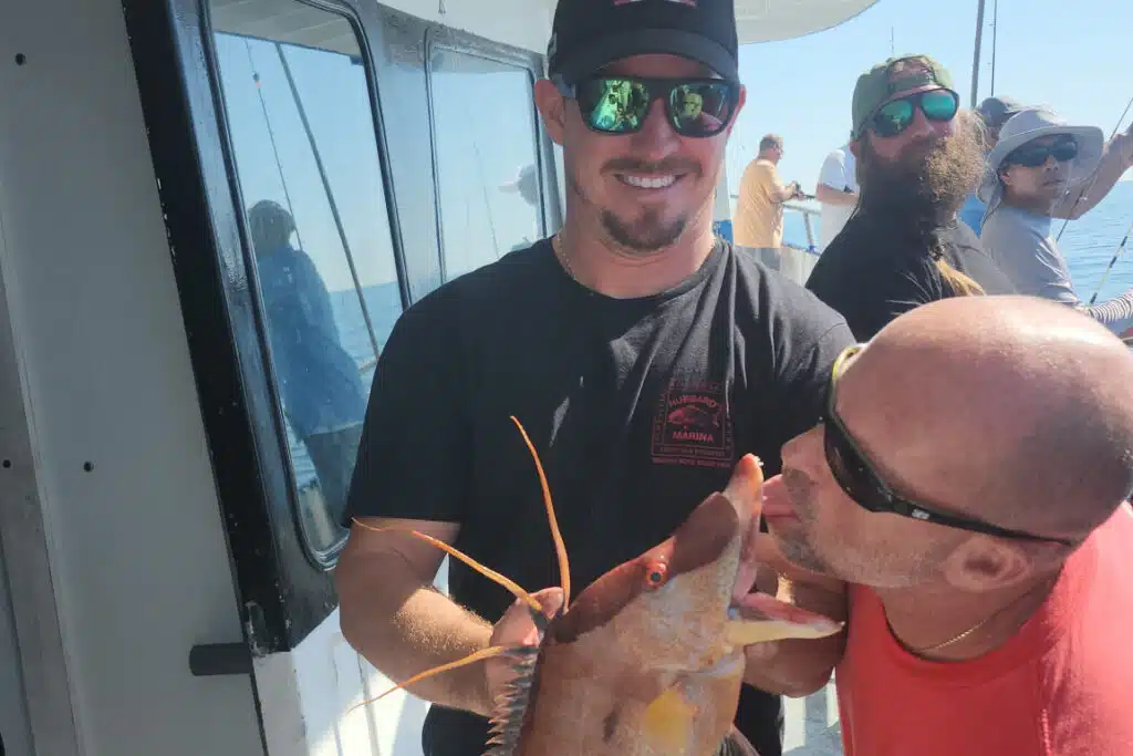 NEARSHORE-hogfish (2)