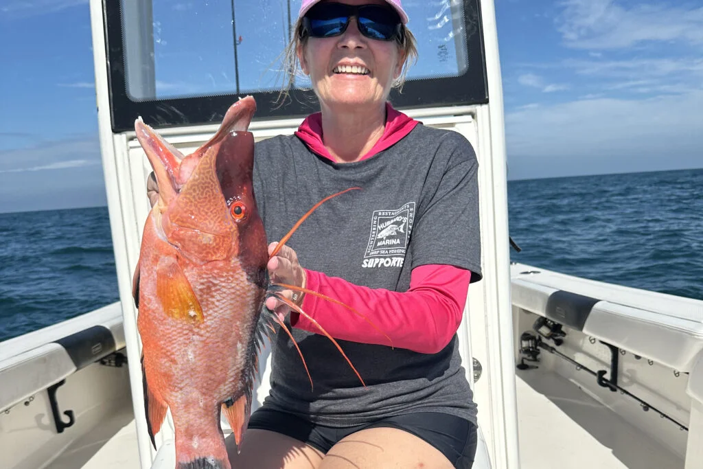 NEARSHORE-hogfish (21)