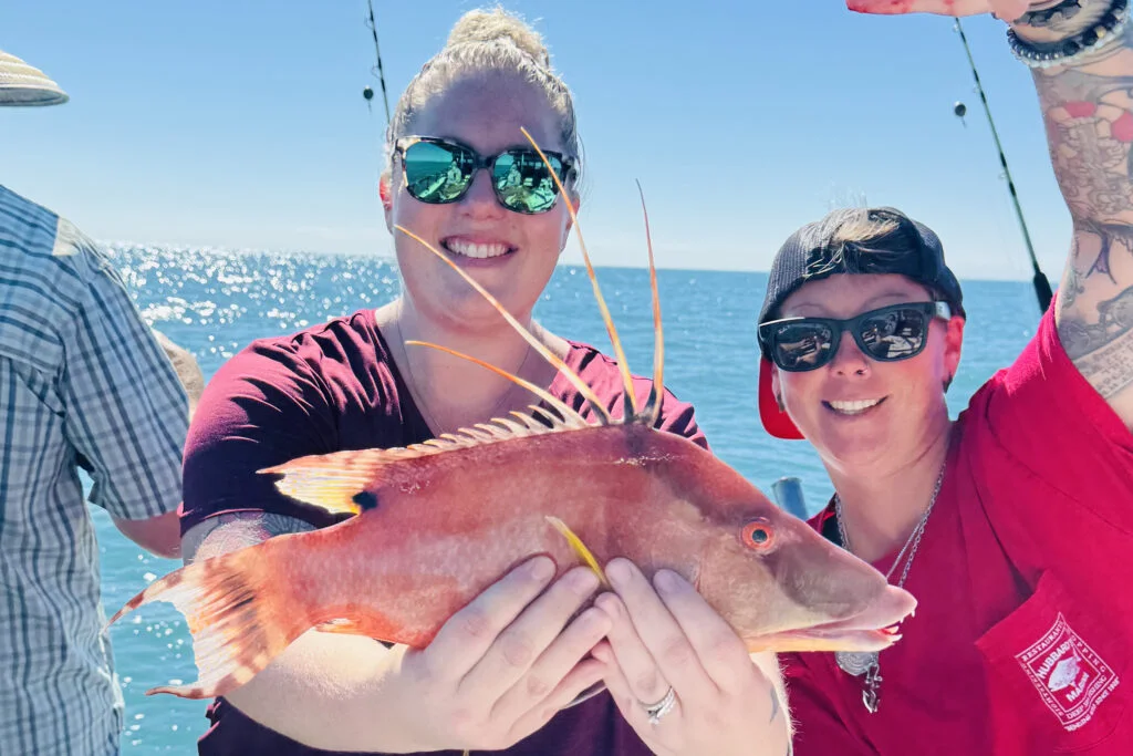 NEARSHORE-hogfish (3)