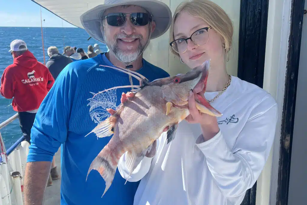 NEARSHORE-hogfish (3)