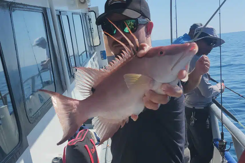 NEARSHORE-hogfish (3)