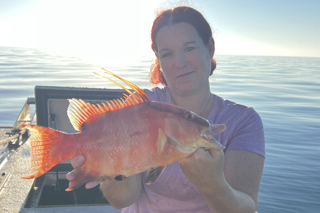 NEARSHORE-hogfish (3)
