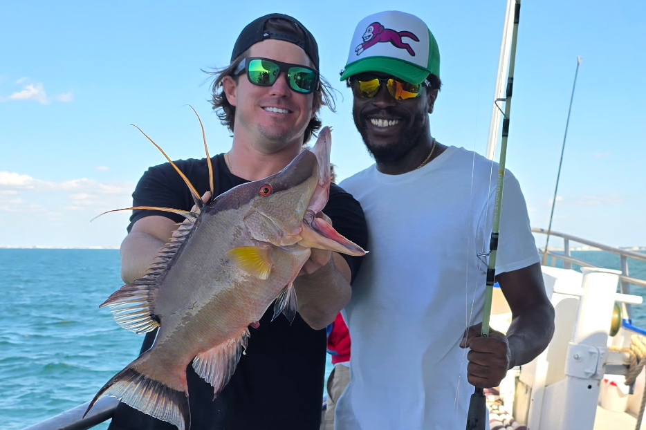 NEARSHORE-hogfish (3)