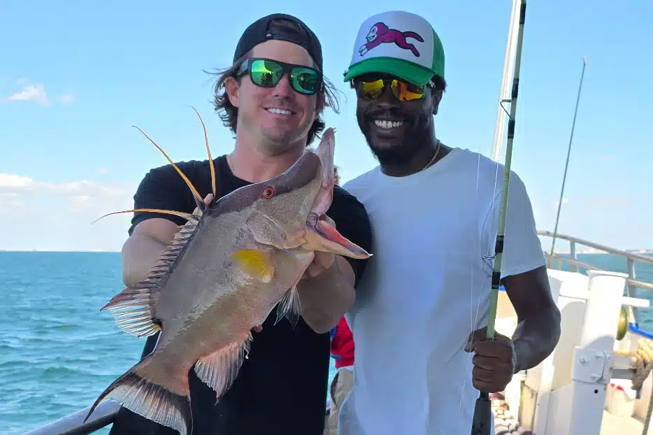 NEARSHORE-hogfish (3)