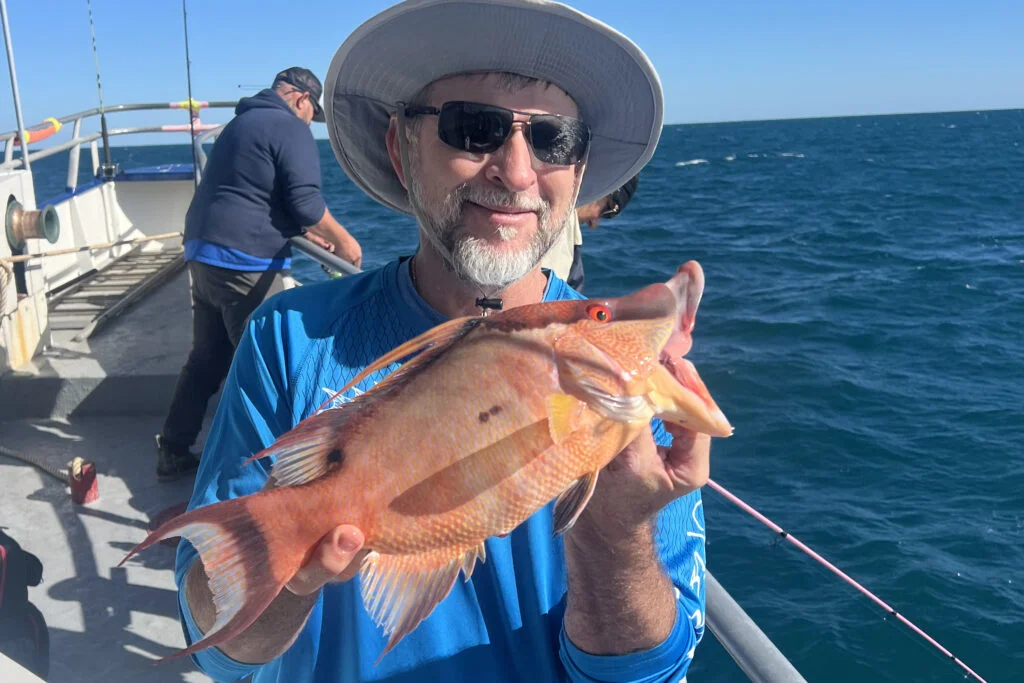 NEARSHORE-hogfish (4)