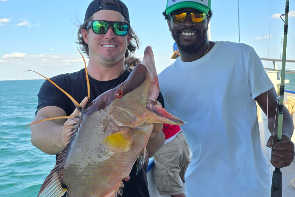 NEARSHORE-hogfish (4)