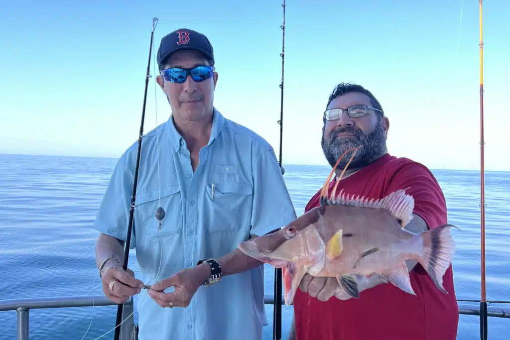 NEARSHORE-hogfish (4)