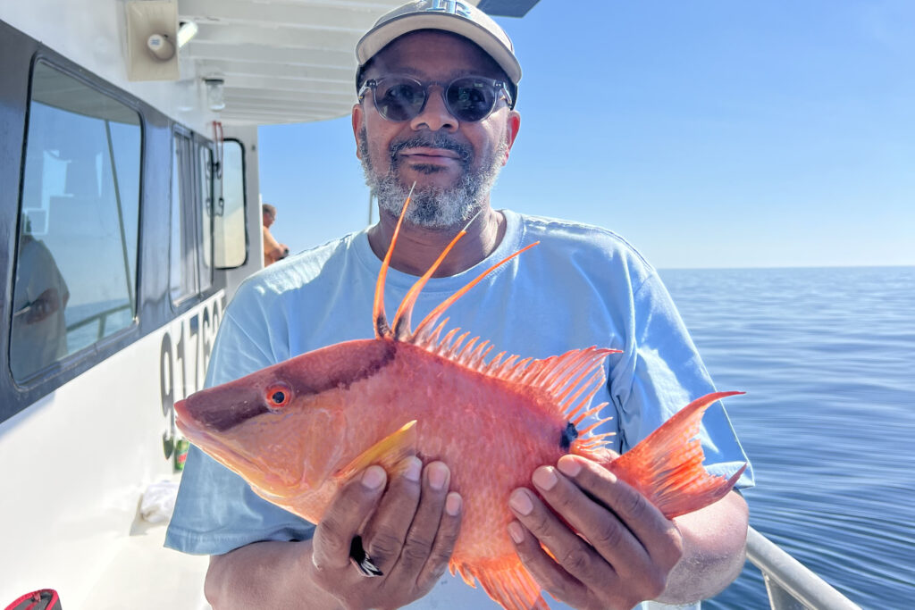 NEARSHORE-hogfish (6)