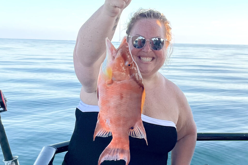 NEARSHORE-hogfish (6)