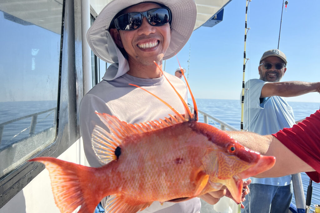 NEARSHORE-hogfish (7)