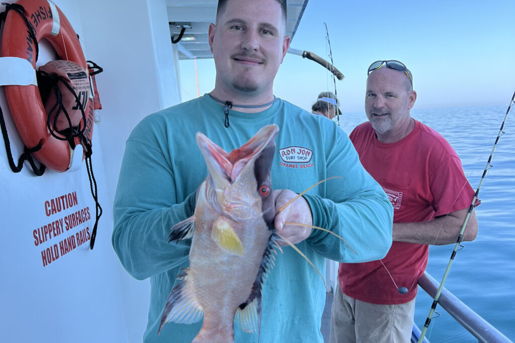 NEARSHORE-hogfish (9)