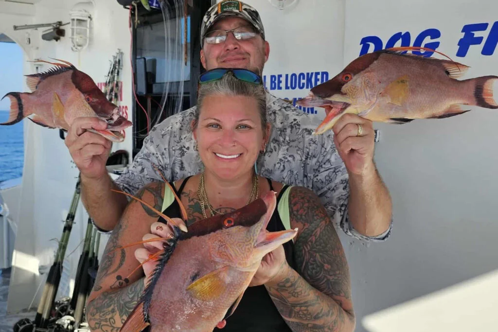 NEARSHORE-hogfish-best