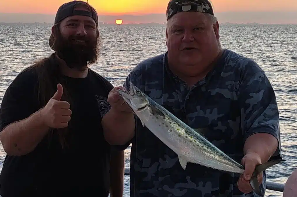 NEARSHORE-mackeral (1)