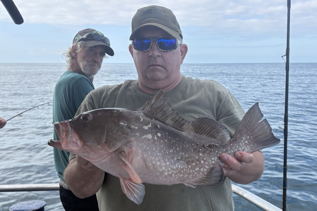 NEARSHORE-redgrouper