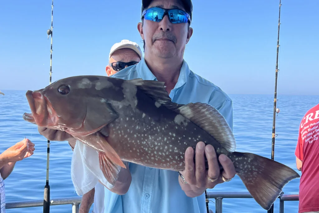 NEARSHORE-redgrouper