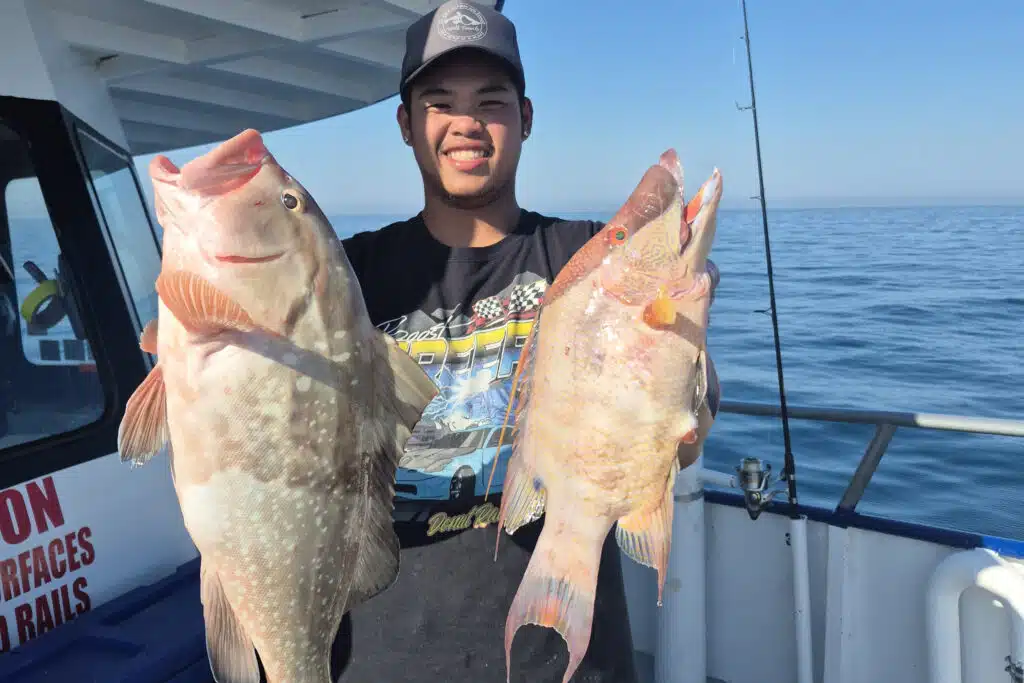 OFFSHOE-redgrouper-hogfish