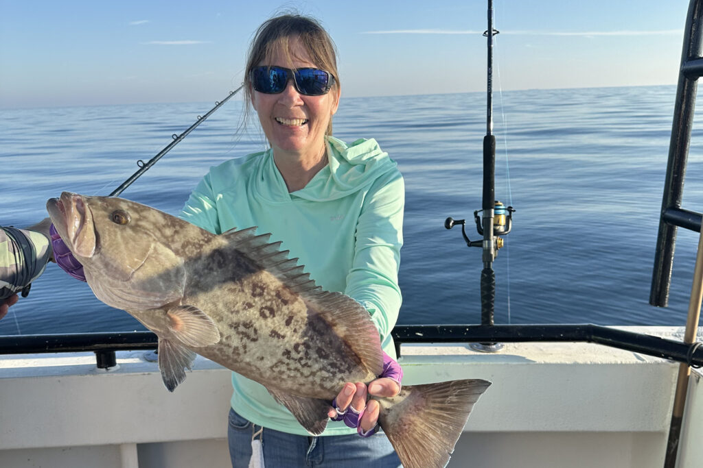 OFFSHORE-gaggrouper (1)