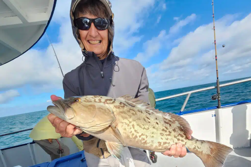 OFFSHORE-gaggrouper