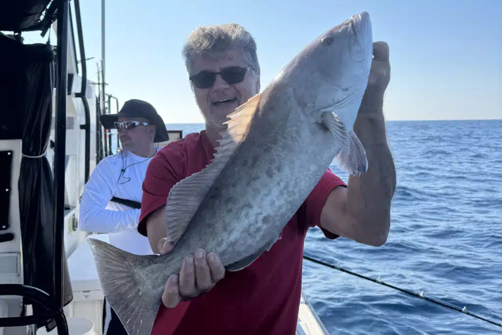 OFFSHORE-gaggrouper