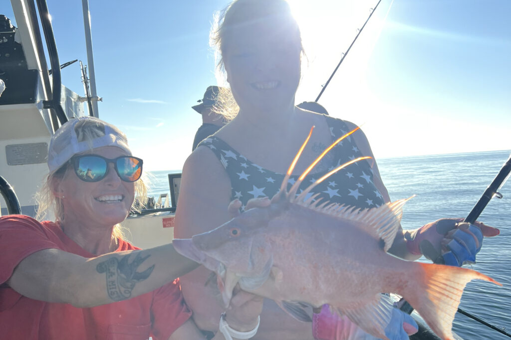 OFFSHORE-hogfish (1)